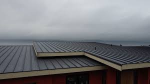 Best Green or Eco-Friendly Roofing Solutions  in Buffalo, SC